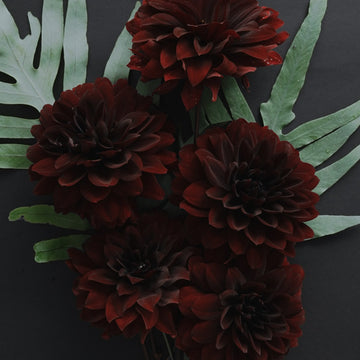 Karma Chocolate dahlia flower — view 2
