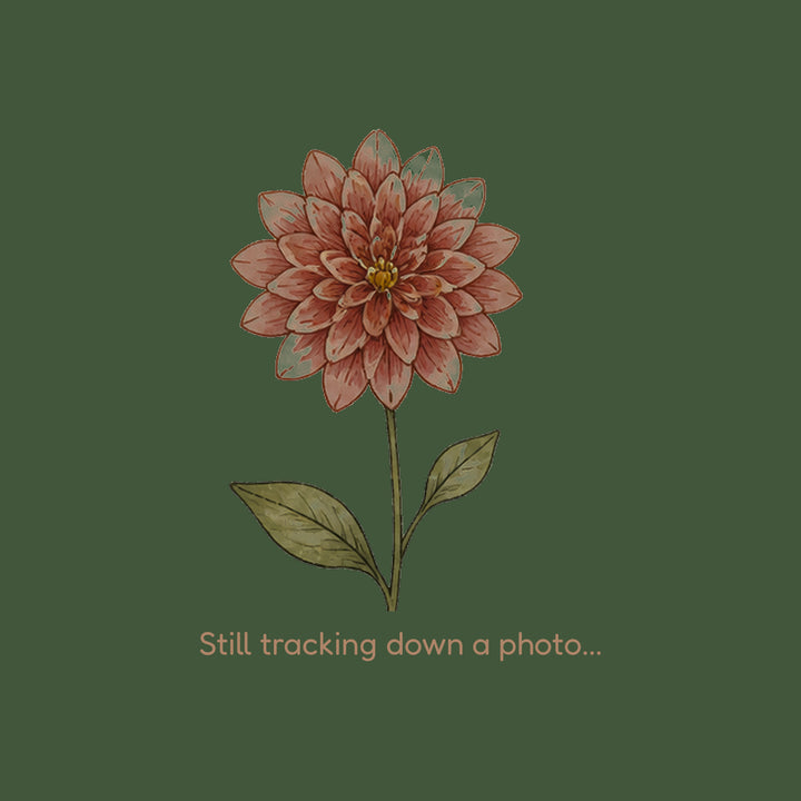 Joel's Favourite dahlia flower — Lazywood Blooms