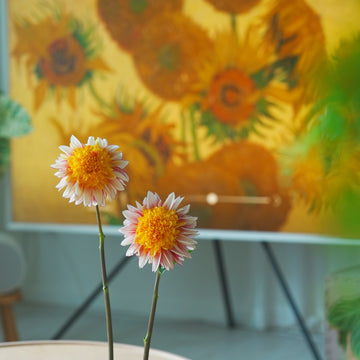 Polka dahlia flower — view 2